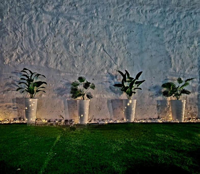 La Casa Del Arbol Villa Fuentiduena de Tajo Eksteriør billede