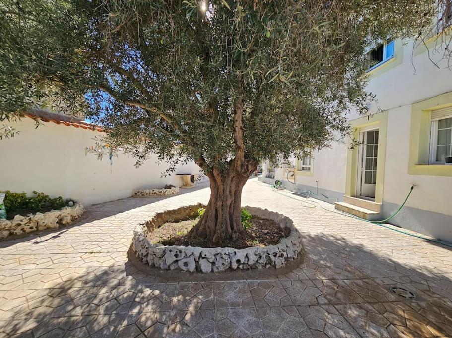 La Casa Del Arbol Villa Fuentiduena de Tajo Eksteriør billede